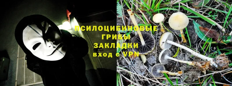 Галлюциногенные грибы Magic Shrooms  Лакинск 